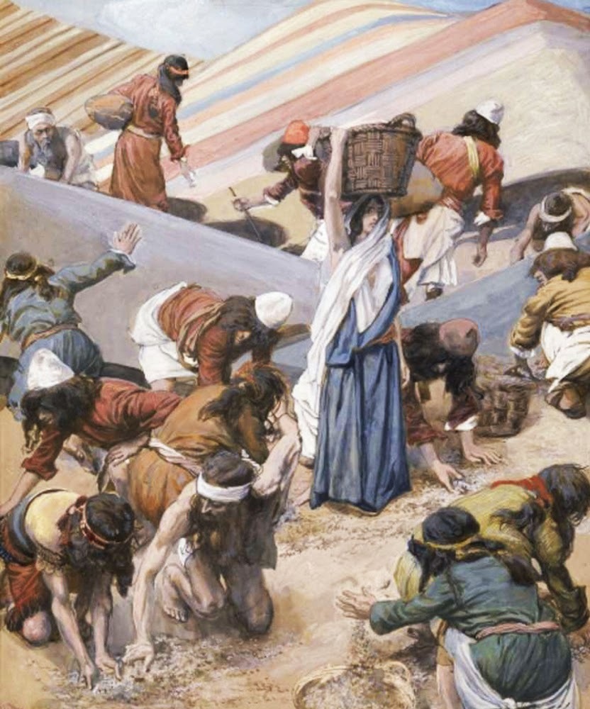 The Gathering of the Manna (James Tissot)